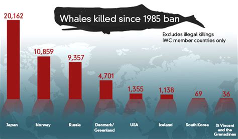 iwc whaling statistics|which countries allow whaling.